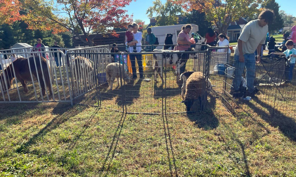 petting zoo animals northern va